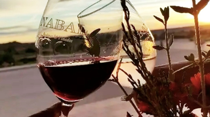 WE'LL PAMPER YOU AMIDST THE WINES
