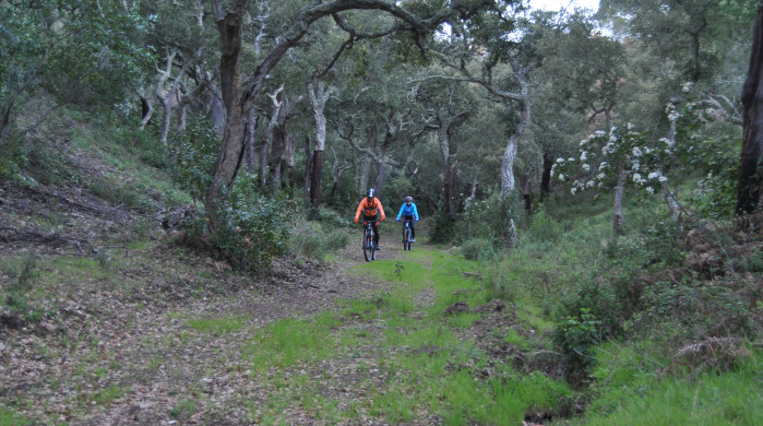 Experiencia "Alentejo en bicicleta eléctrica"