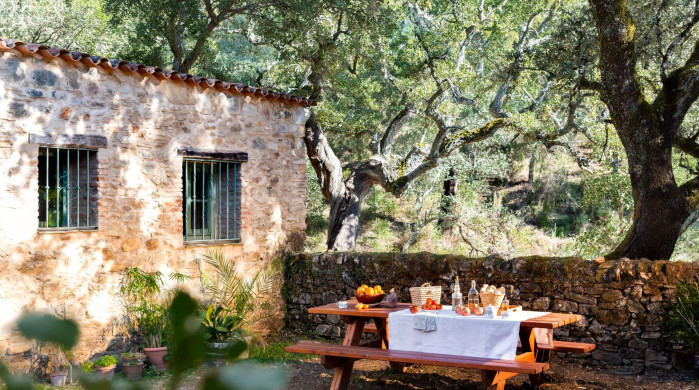 Vive la Dehesa Sierra de Jabugo
