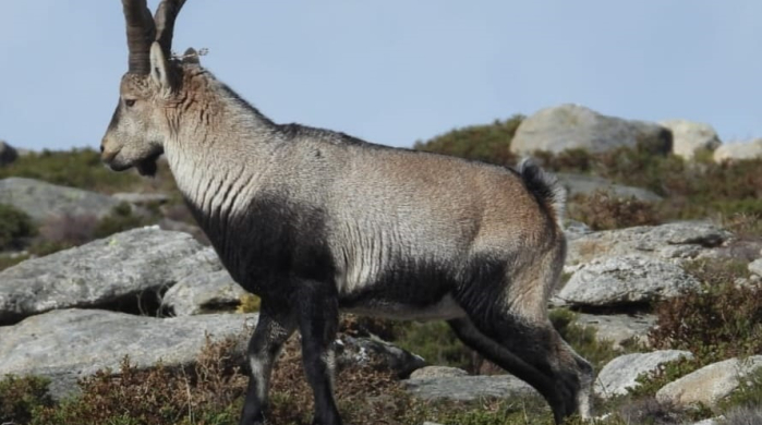 Experiencia Naturaleza viva en Galicia 
