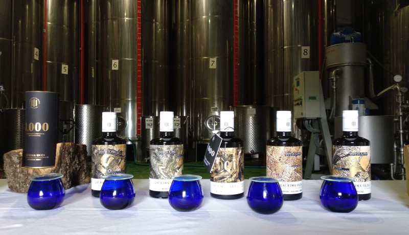 Oleotourism, discover the roots of EVOO