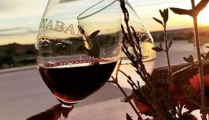 MIMAMOS-TE COM OS NOSSOS VINHOS