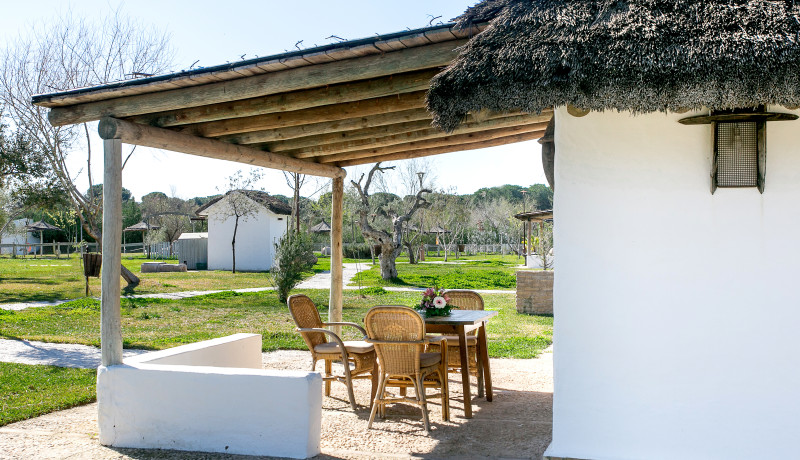 Experiencia  Doñana a Caballo 