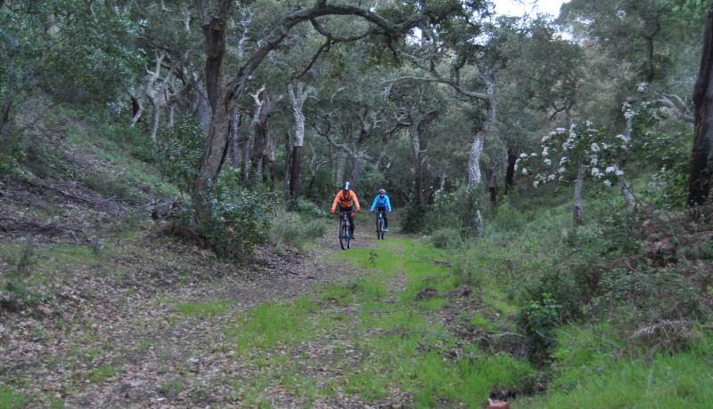 Experiencia Alentejo en bicicleta eléctrica