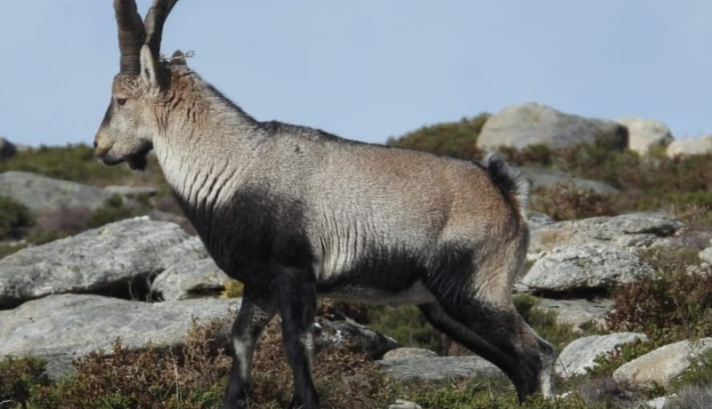 Experimente a Natureza Viva na Galiza 