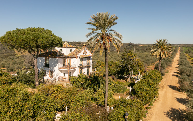 Experiencia "Hacienda San Felipe"