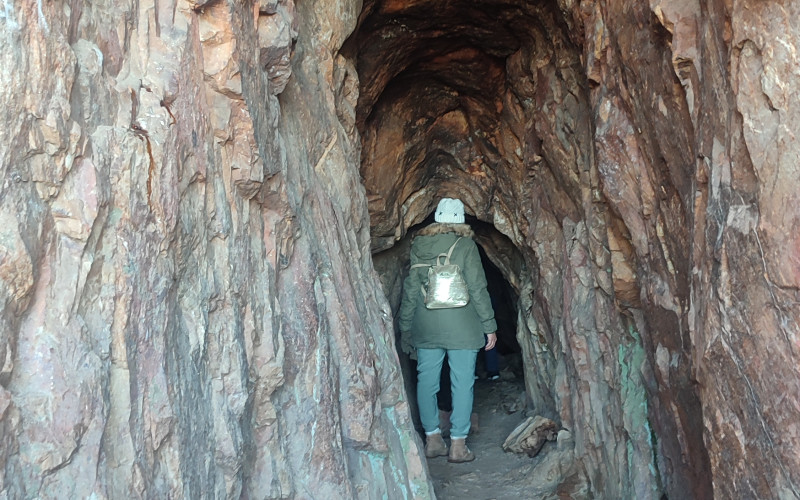 Explora los Volcanes: Ruta Senderista y Degustación KM0