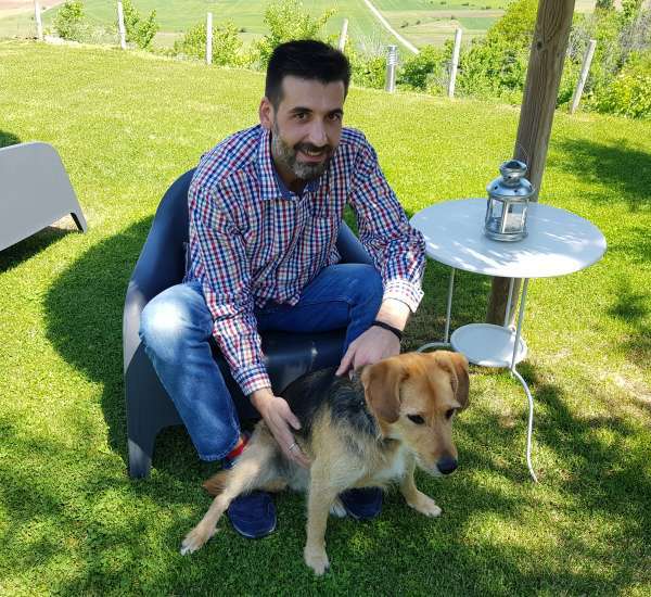 "Discover Sigüenza" Experience