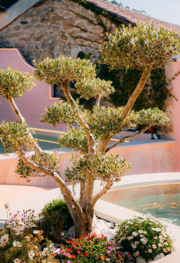Aldea Calma - Sanívoros Eco Hotel