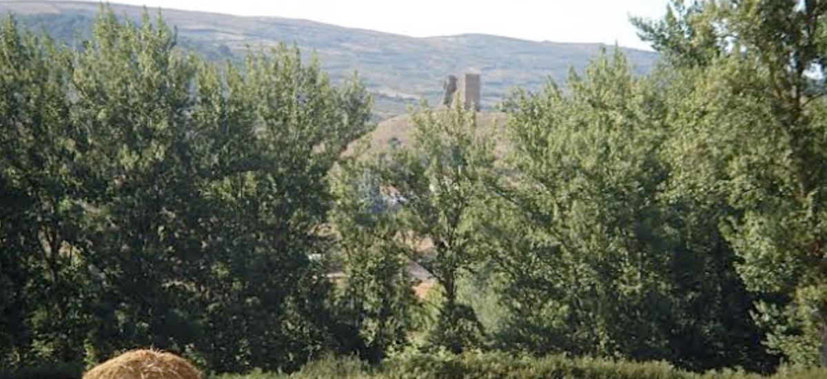 Alquiler Completo Molino Manolo