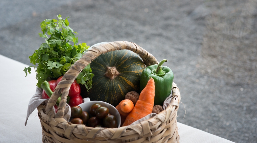 900x500_cc7d1ef22d3568679d4da6325d820e46