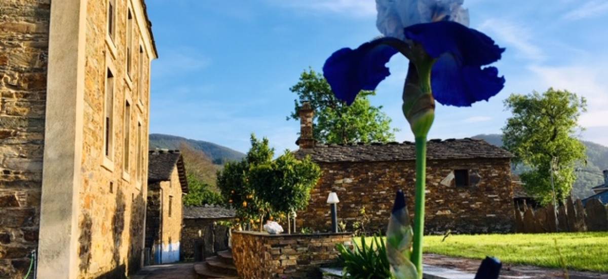 As Casas do Retratista