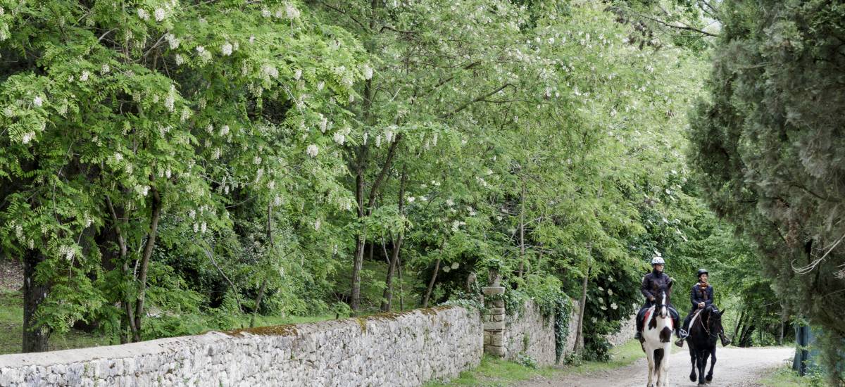 Borgo Pignano
