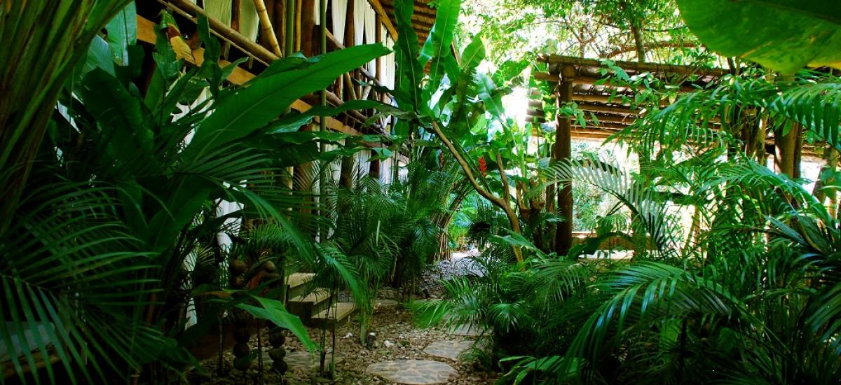 Canaima Chill House 