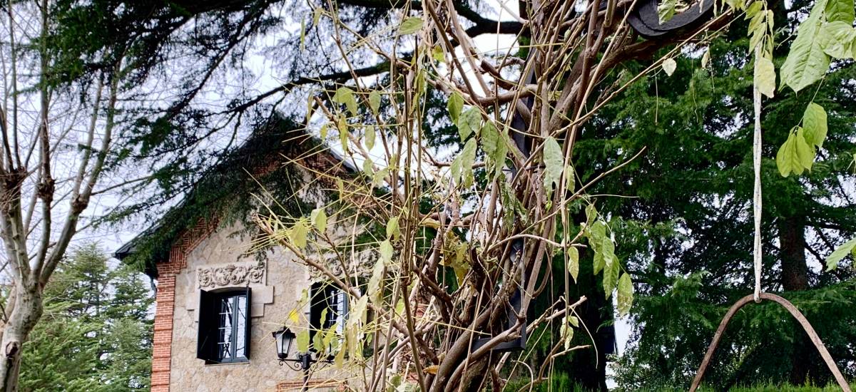 Casa Rural de Alquiler Completo El Alma del Colmenar