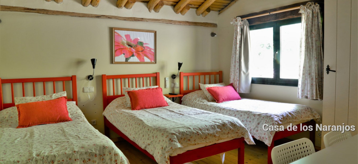 Casa Rural de Alquiler Completo El Escondite de Pedro Malillo