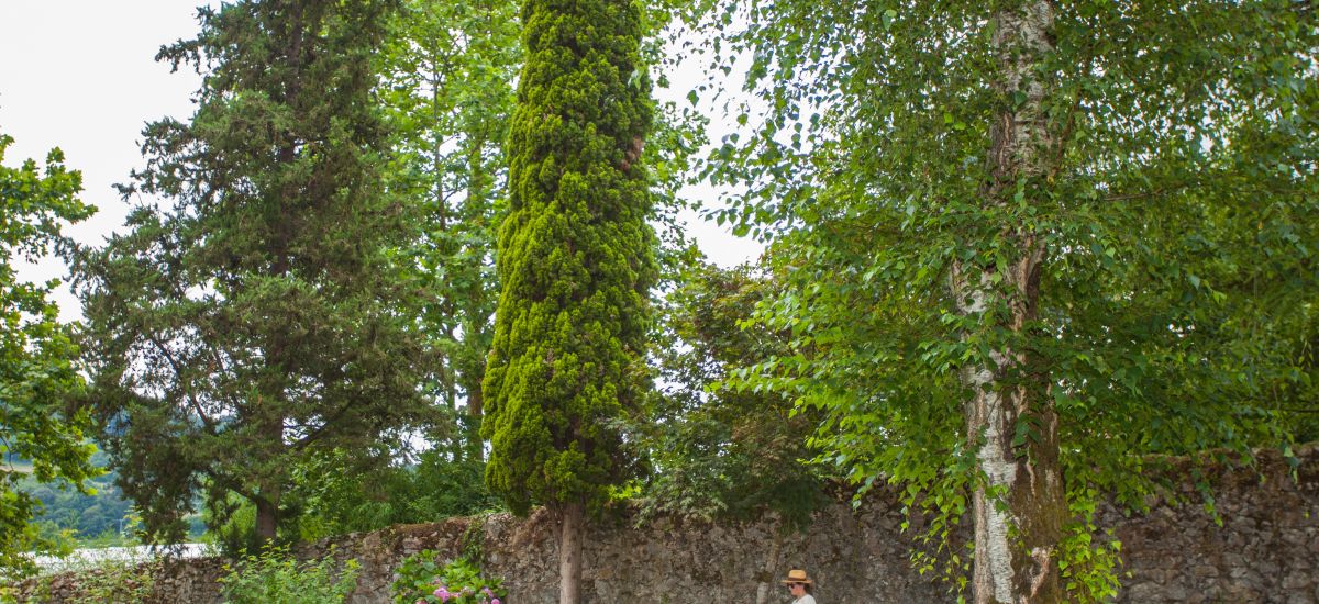Casa Rural de Alquiler Completo Etxelaia