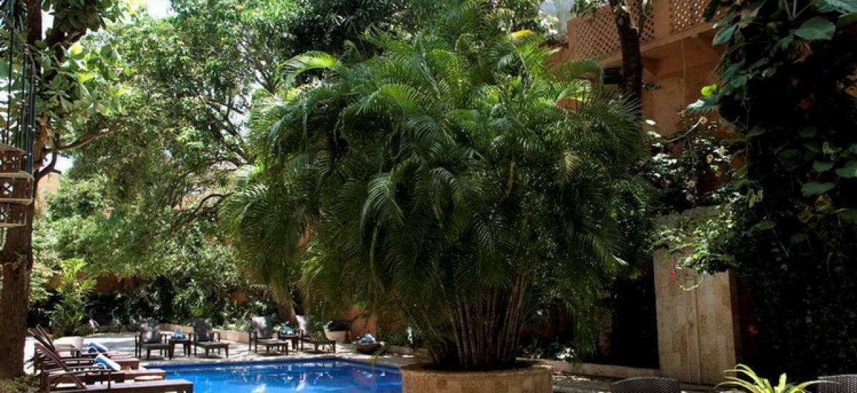 Casa Pestagua Hotel Spa