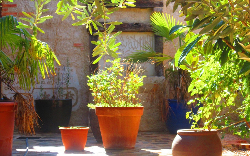 Casa Rural Beautiful Alamedas