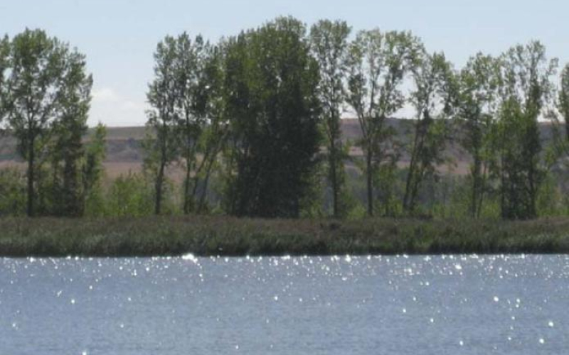 Casa Rural Beautiful Alamedas