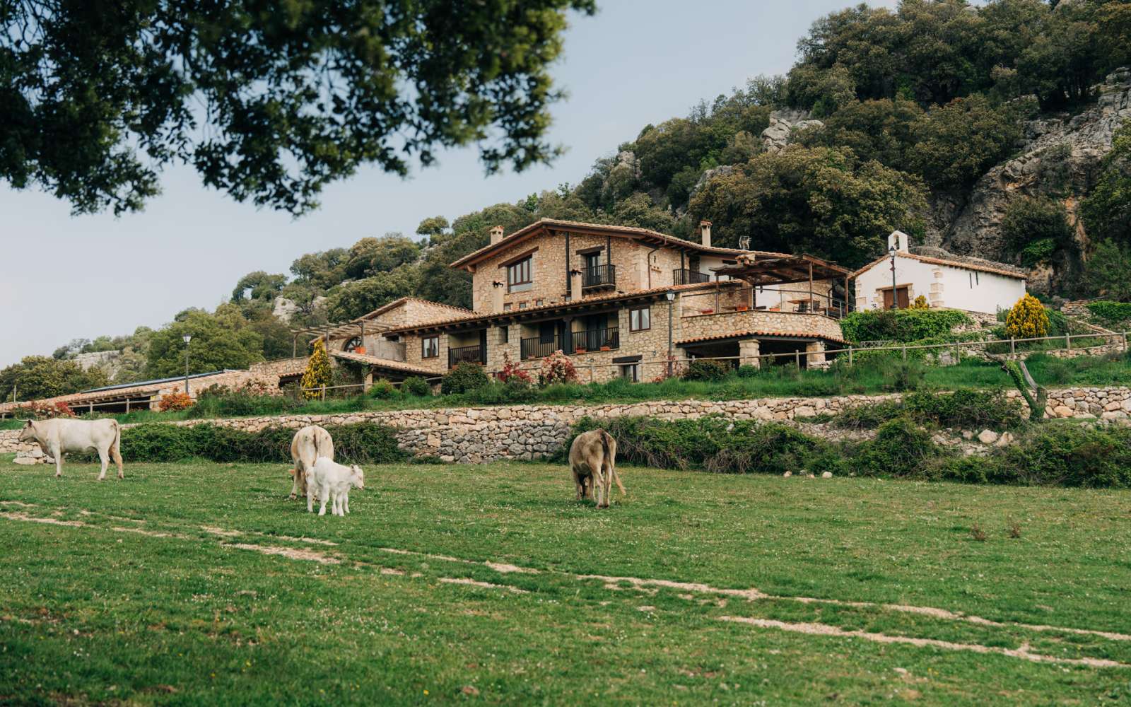 Casa Rural Font D'En Torres