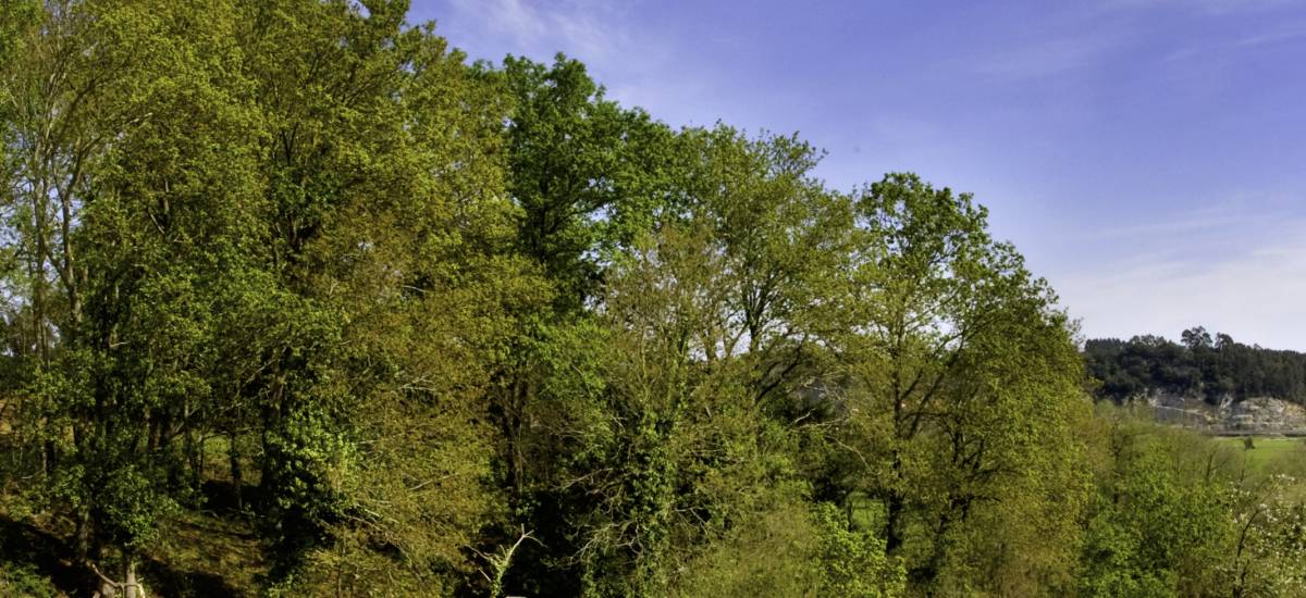 Casa Rural La Calma Relax & Wellness