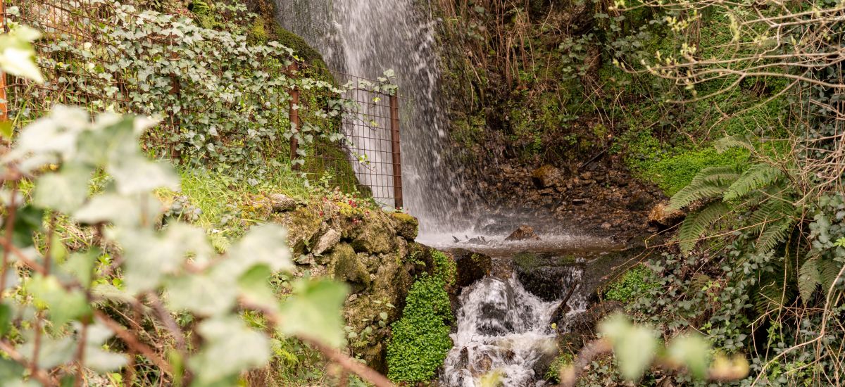 Casas da Lapa, Nature & Spa Hotel