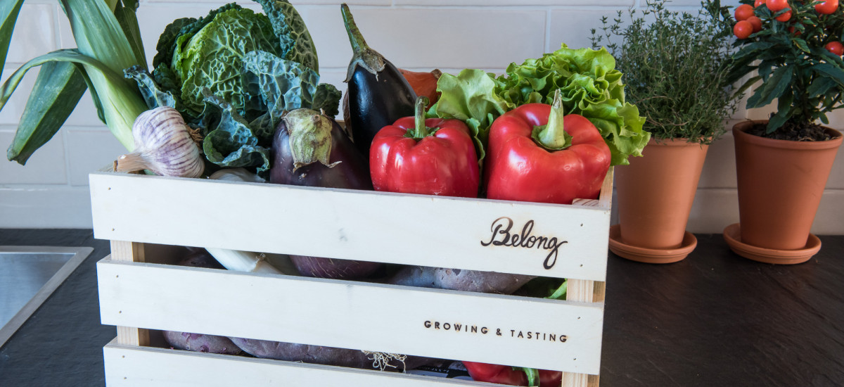 Craveiral Farmhouse by belong staying & feeling