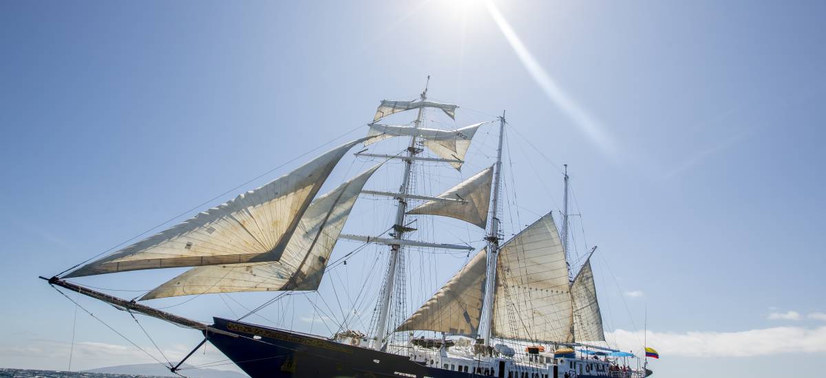Crucero Mary Anne 
