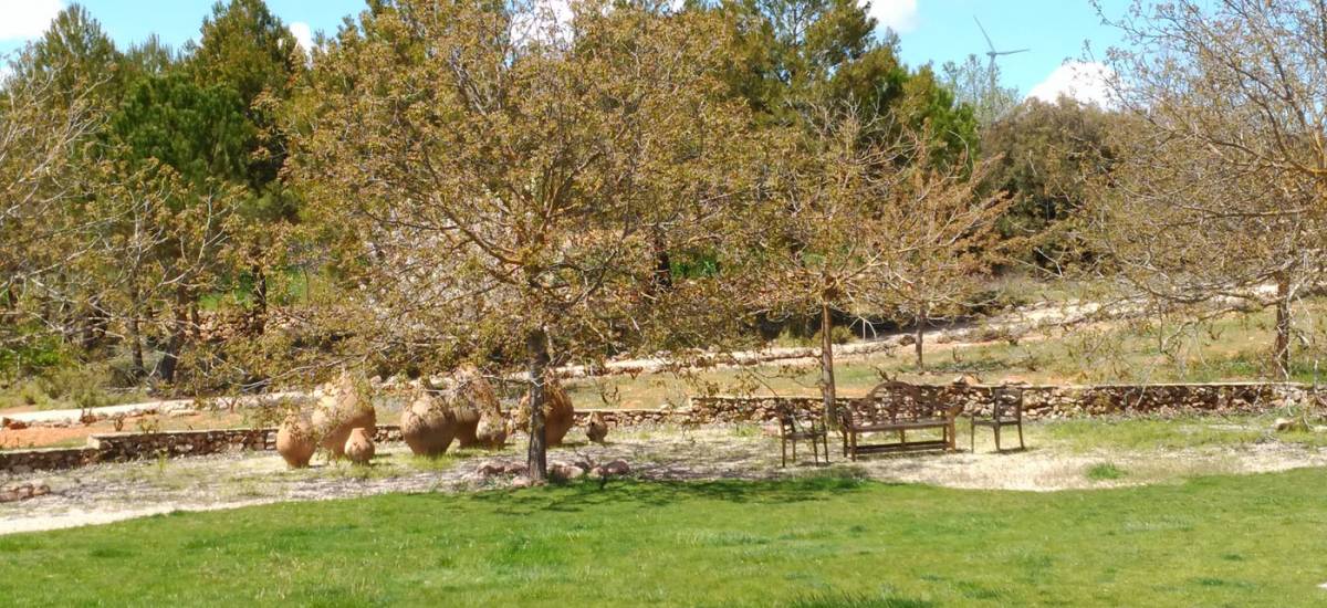 Cuesta De Patas Club Ecológico