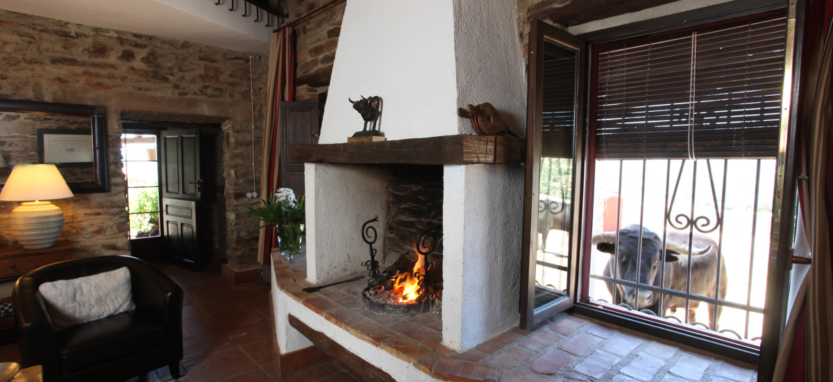 Rusticae Jaén Hotel con encanto Salón