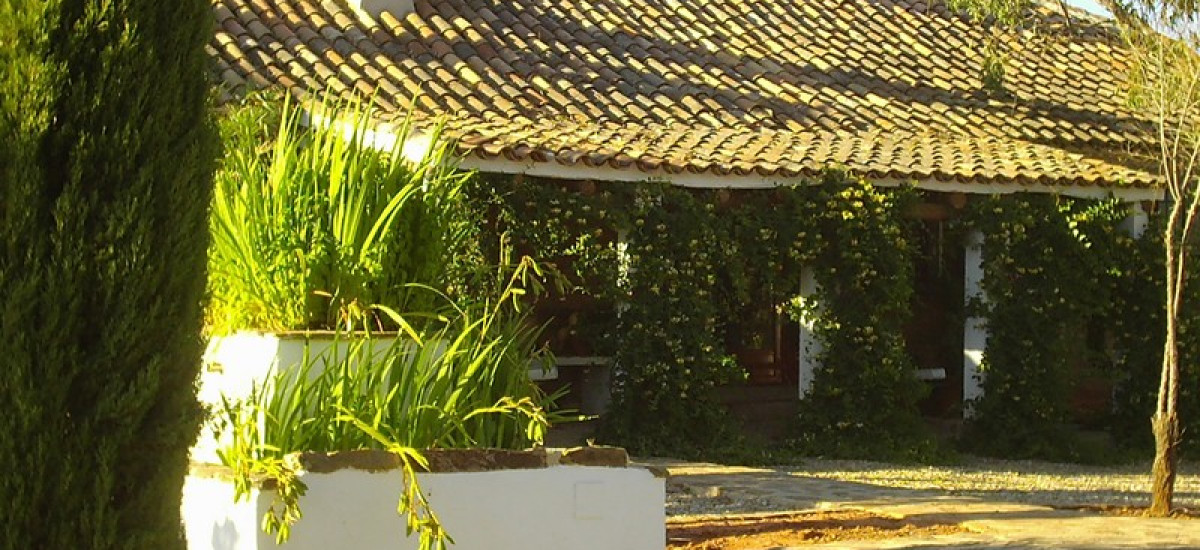Rusticae Jaén Hotel con encanto Exterior