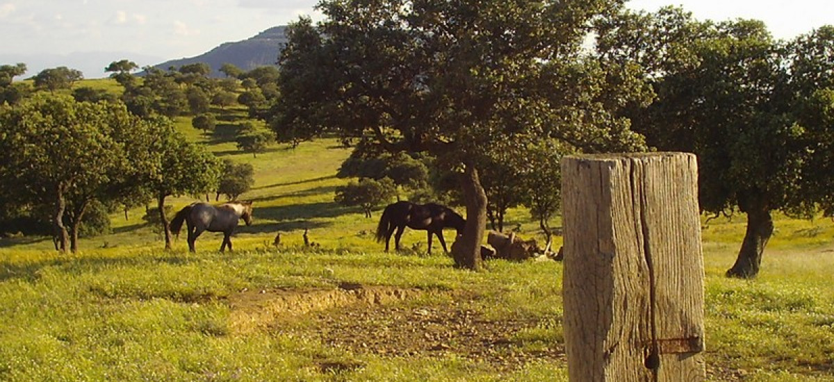Rusticae Jaén Hotel con encanto Alrededores