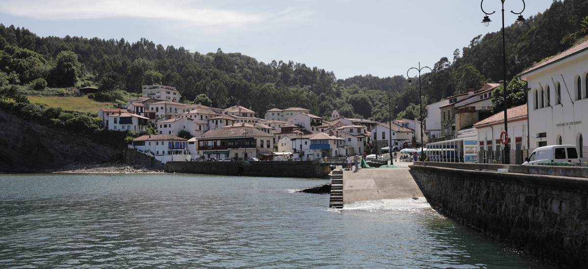 El Faro Unkempt Houses