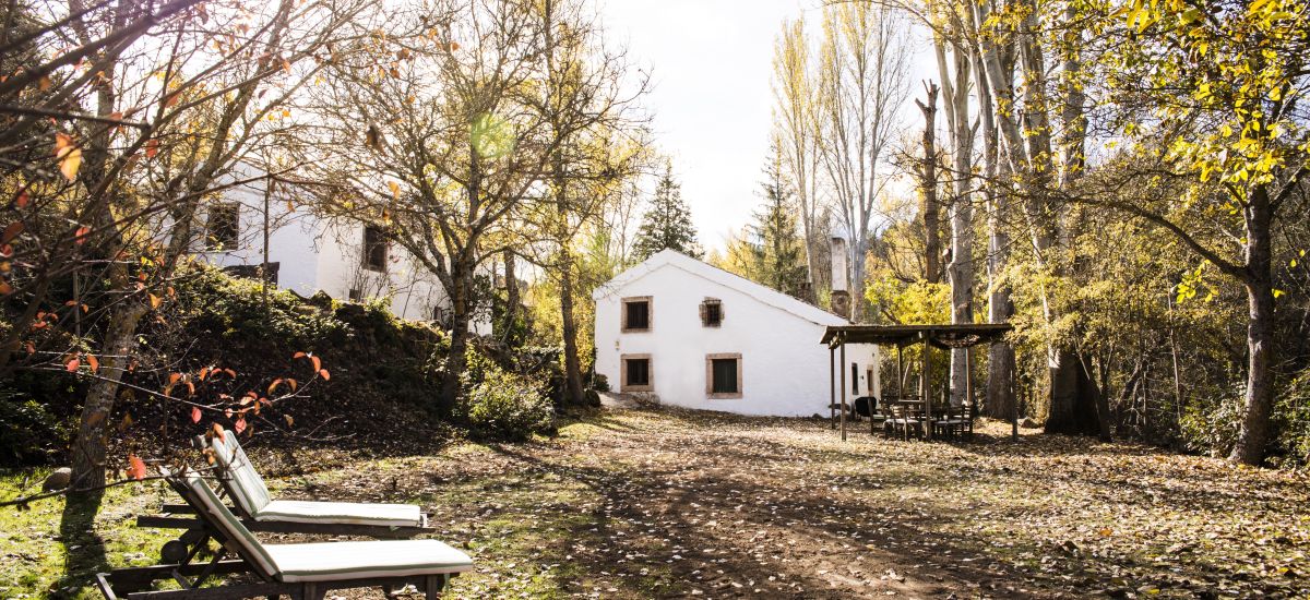 El Molino del Feo