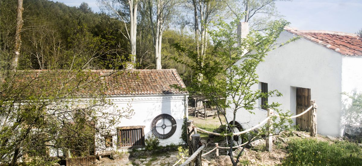 Casa Rural de Alquiler Completo Molino del Feo