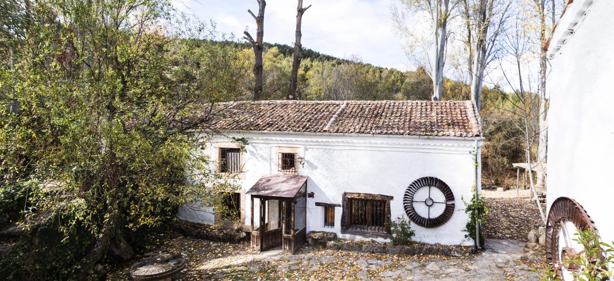 El Molino del Feo