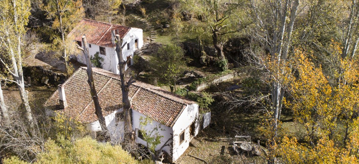 El Molino del Feo garden