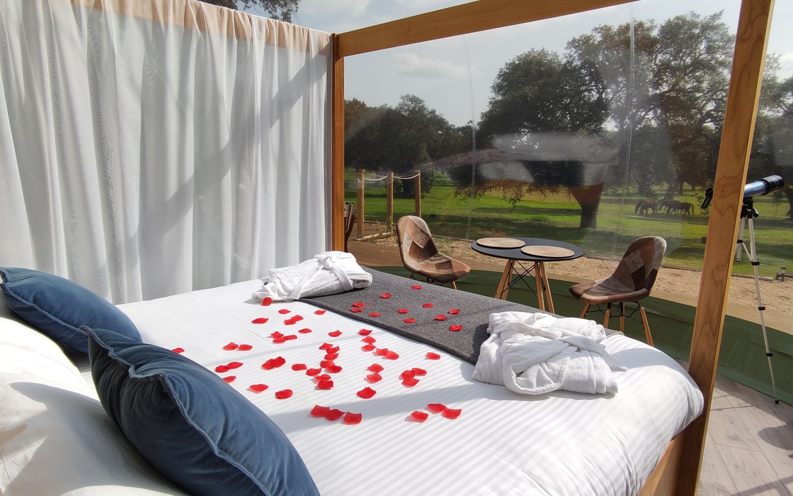 El Toril Glamping Experience