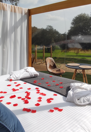 El Toril Glamping Experience