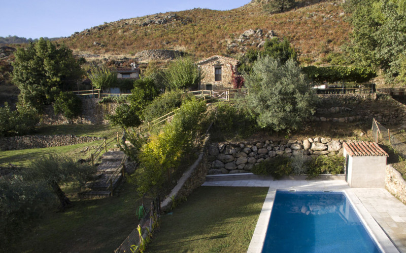 El Vergel de Chilla - Abejas II