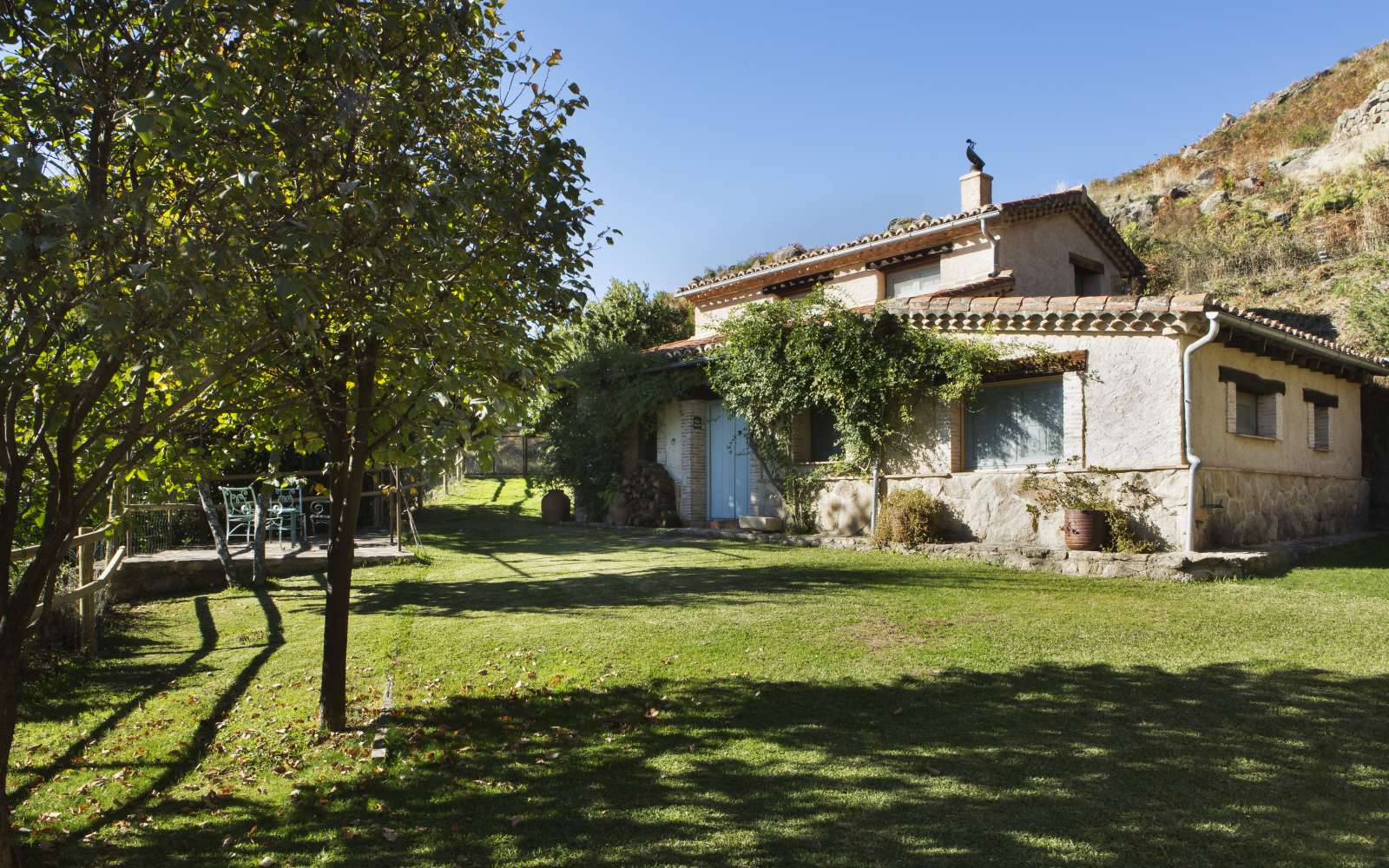 El Vergel de Chilla - Abejas II