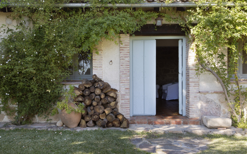 El Vergel de Chilla - Abejas II