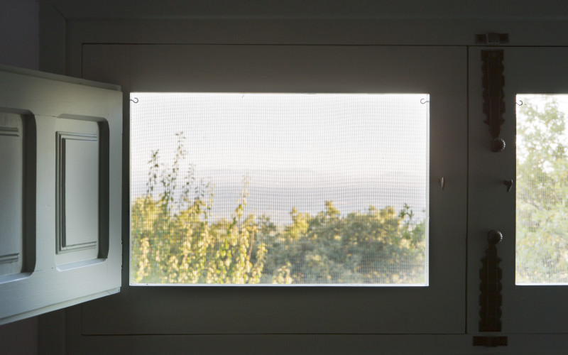 El Vergel de Chilla - Abejas II