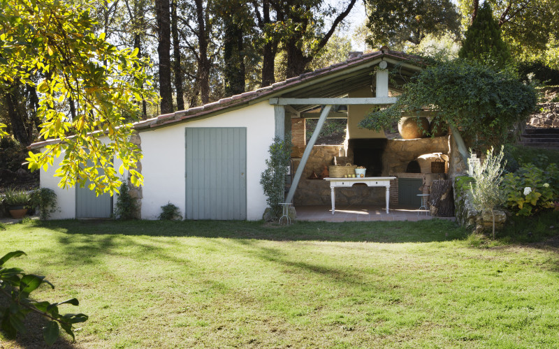 El Vergel de Chilla - Libélula