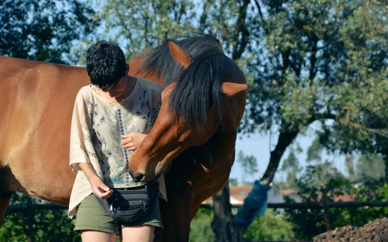 Equitare Rural