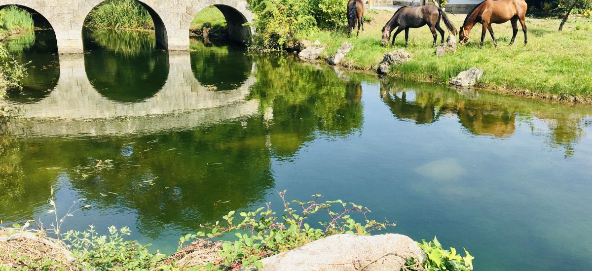 Finca Briabí