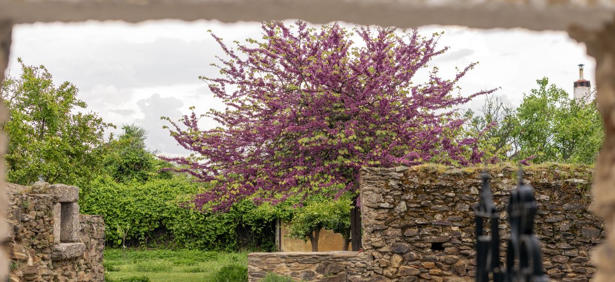 Casa Rural Finca El Azahar