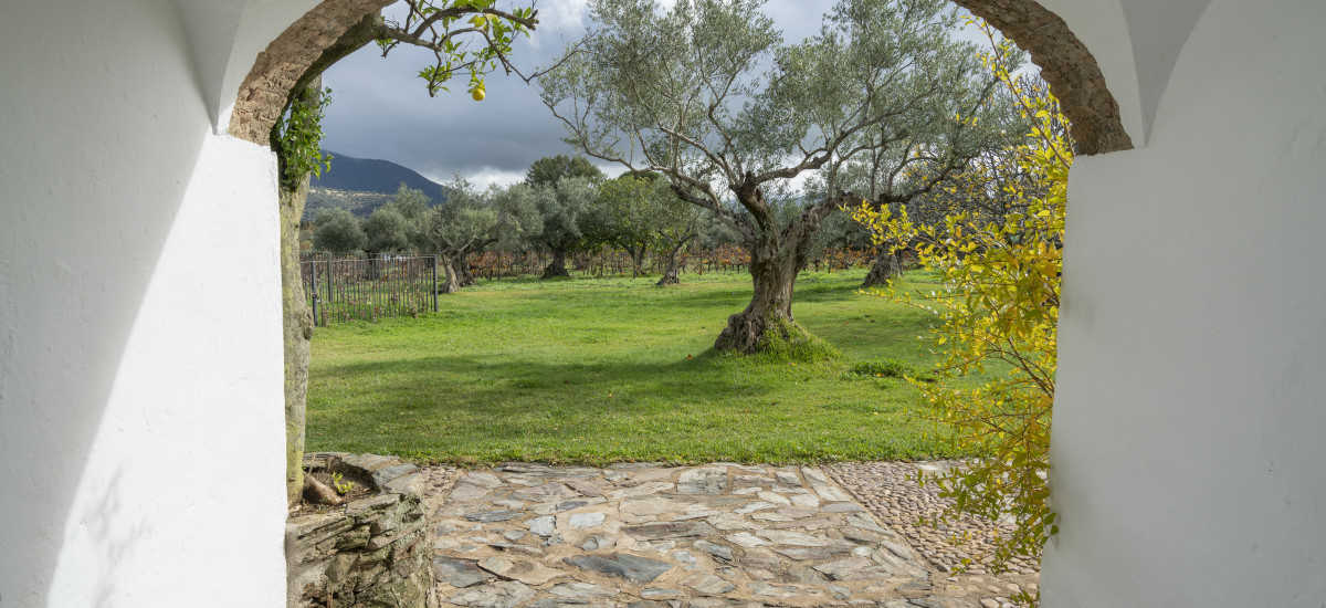 Casa Rural Finca El Azahar
