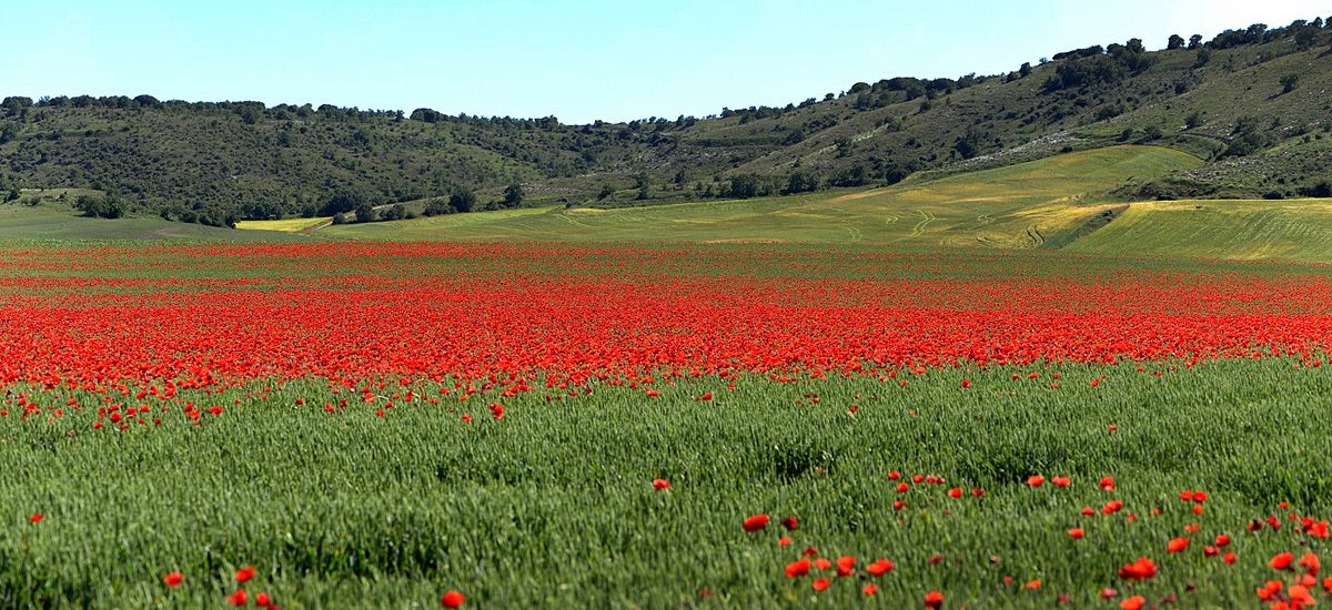 Casa Rural de Alquiler Completo Finca El Cercado